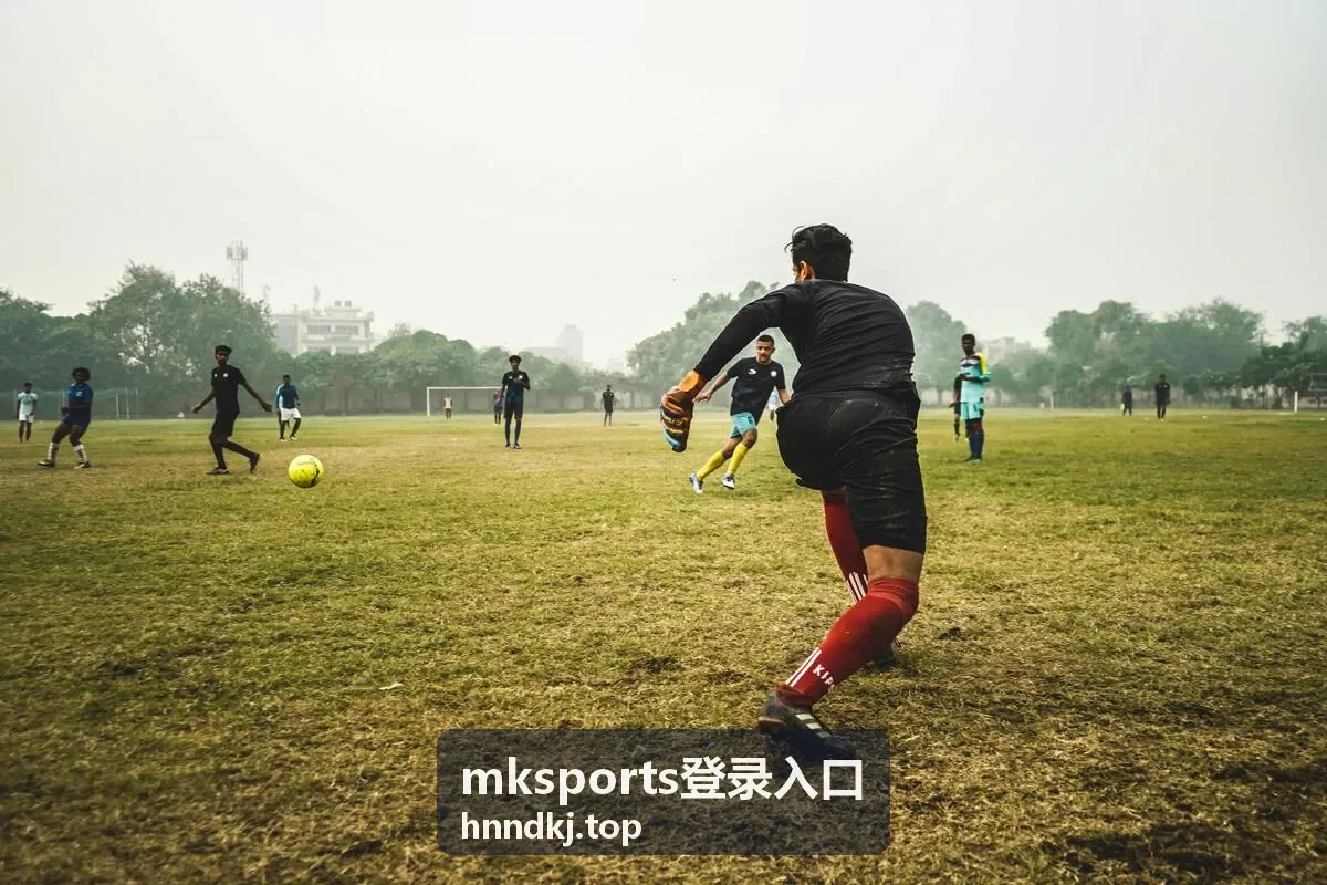 mksports登录入口 账号安全设置配图
