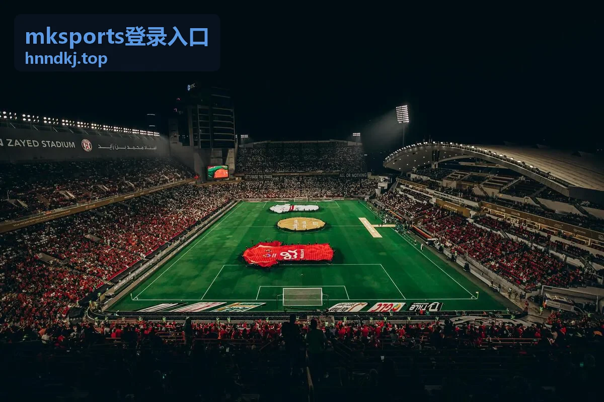 mksports登录入口 登录异常排查配图