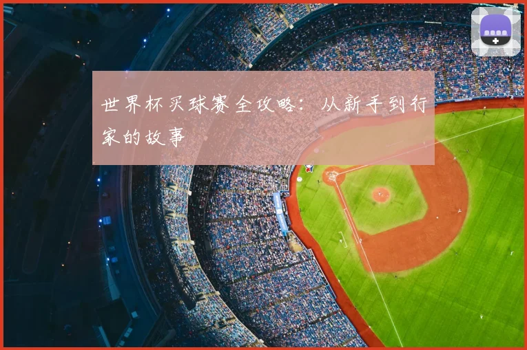 世界杯买球赛全攻略:从新手到行家的故事