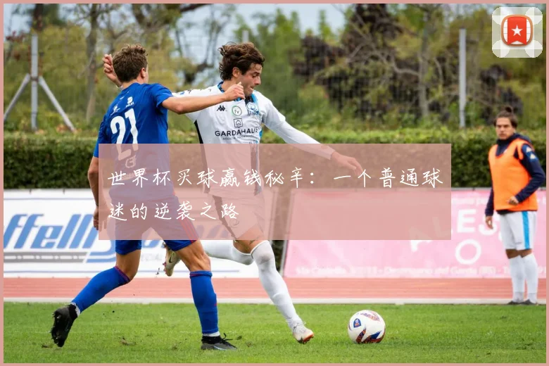 世界杯买球赢钱秘辛:一个普通球迷的逆袭之路