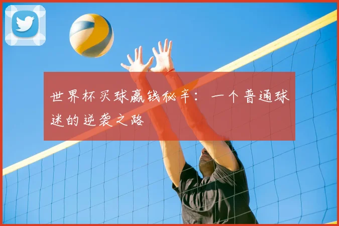世界杯买球赢钱秘辛:一个普通球迷的逆袭之路