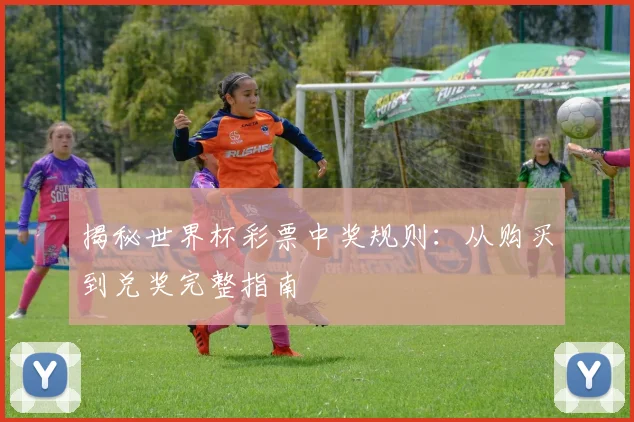 揭秘世界杯彩票中奖规则:从购买到兑奖完整指南