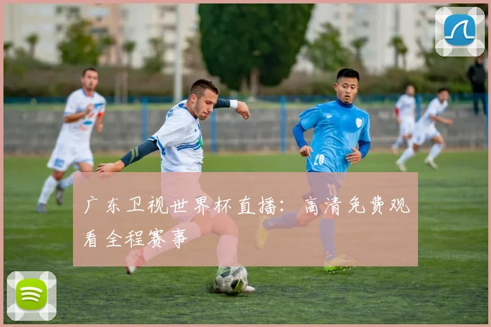 广东卫视世界杯直播：高清免费观看全程赛事