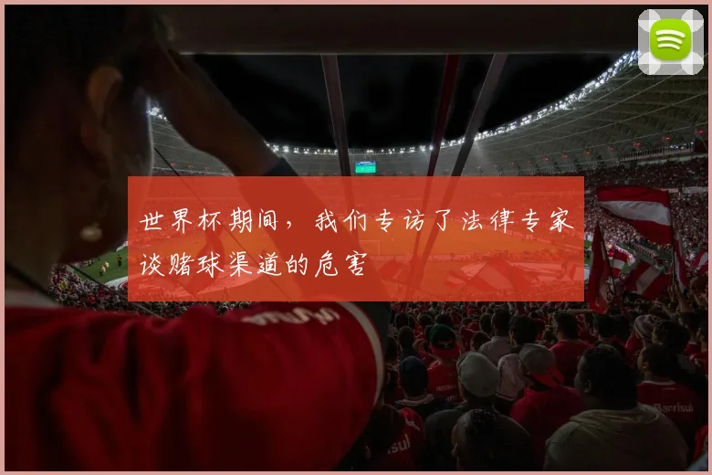 世界杯期间，我们专访了法律专家谈赌球渠道的危害
