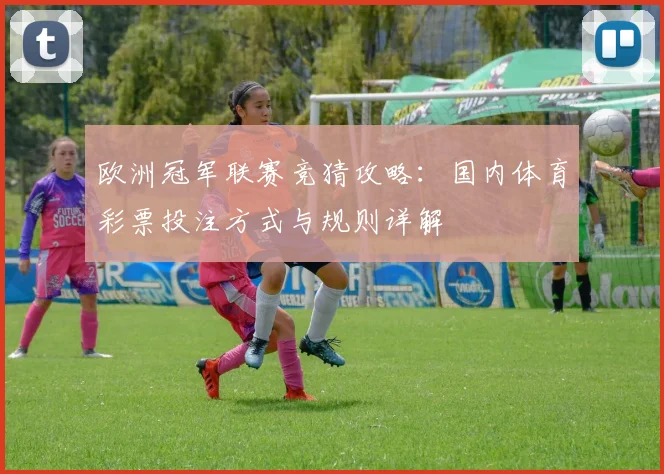 欧洲冠军联赛竞猜攻略：国内体育彩票投注方式与规则详解