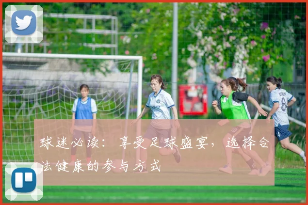 球迷必读：享受足球盛宴，选择合法健康的参与方式