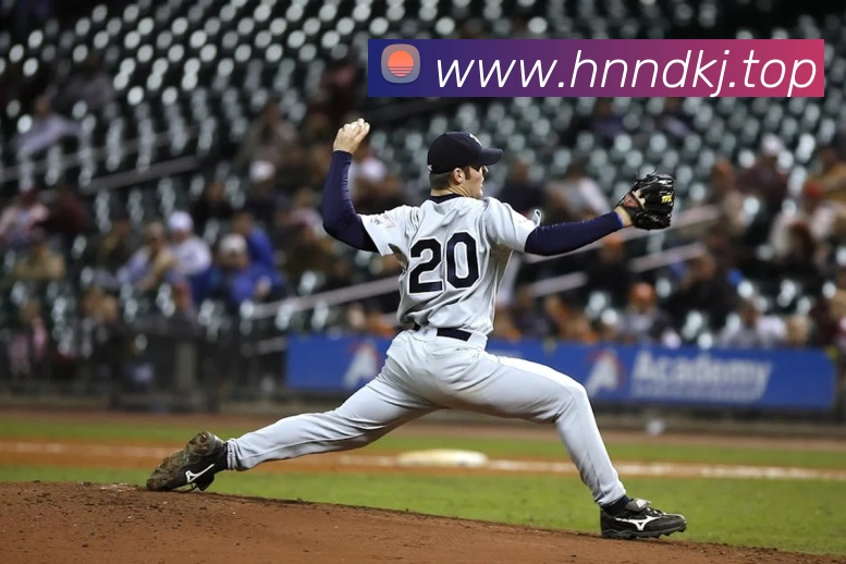 开运体育app官网入口下载官网服务体系